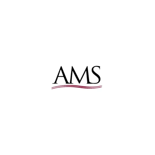 Advanced Micro Solutions