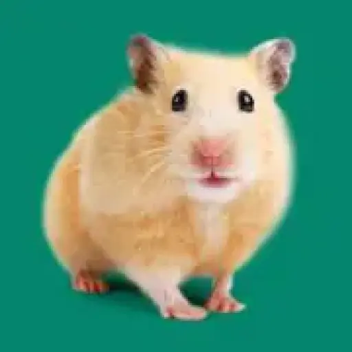 WHISKERS