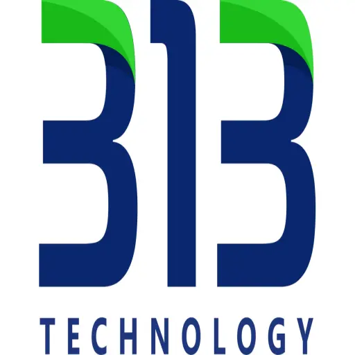 313 Technology