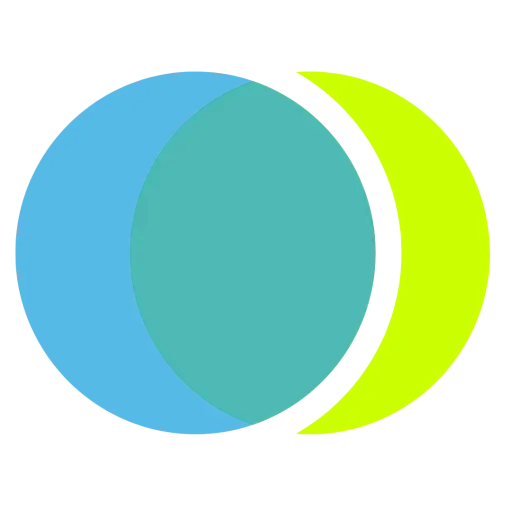 8020 Consulting
