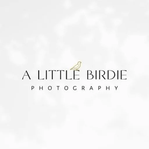 A Little Birdie Photography