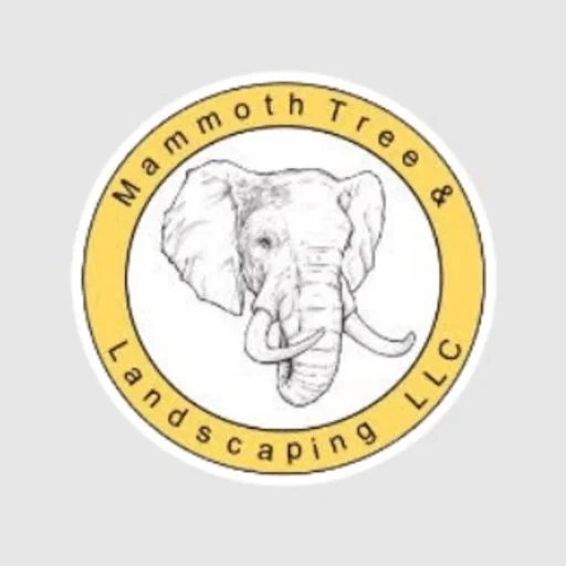 AAA Mammoth Tree & Landscaping
