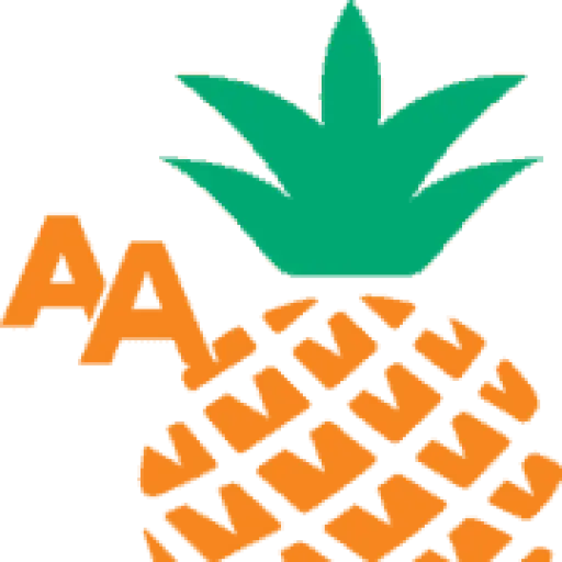 AA Oceanfront Rentals
