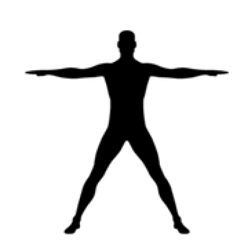 Abenthfysioterapi