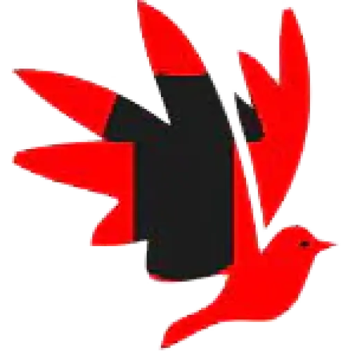 About Apparels