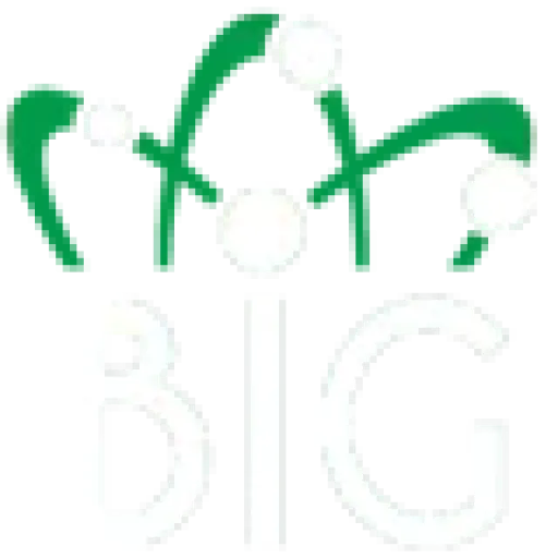 Academiabigbang