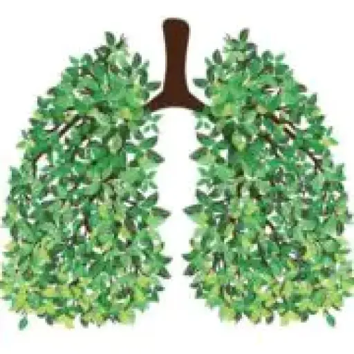 Aceso Natural Medicine