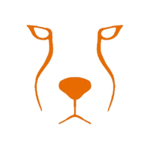 Acinonyx Web Agency