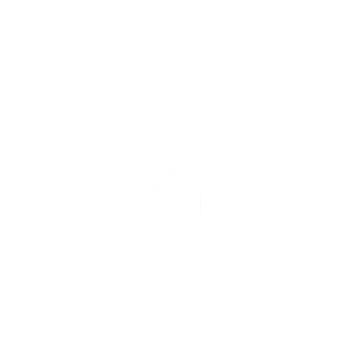 Action Coin Inc.