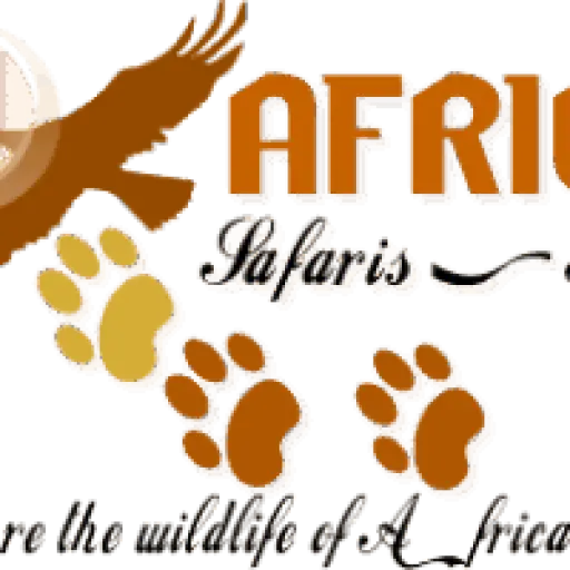 Africabig5safaris and Tours