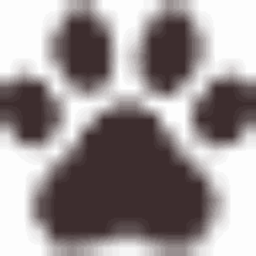 African Safari Consultants LLC