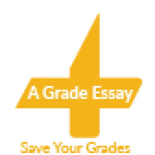 A Grade Essay