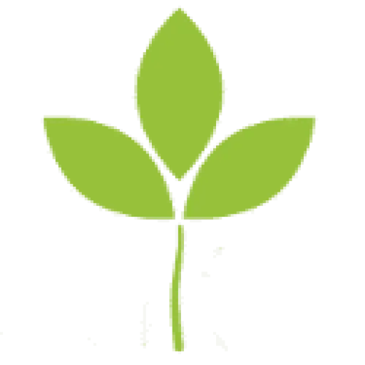ahealthyleaf.com