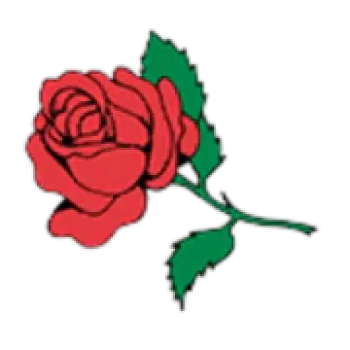 AJ Rose Carpets & Flooring