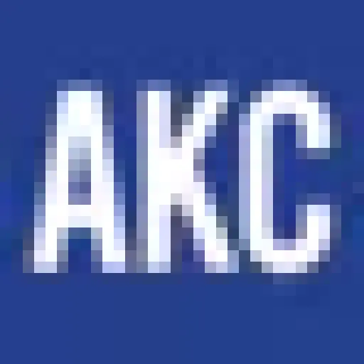 American Kennel Club