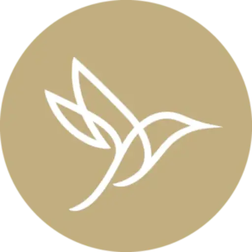 Allied Business Schools