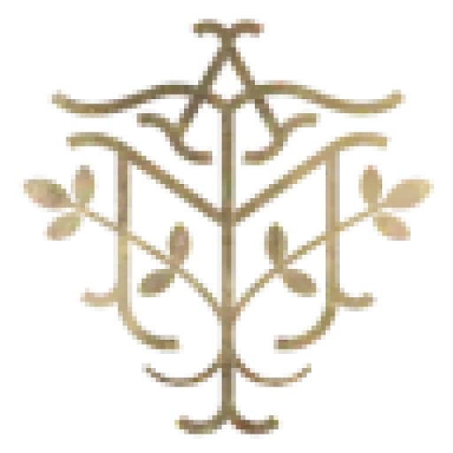 All Moringa
