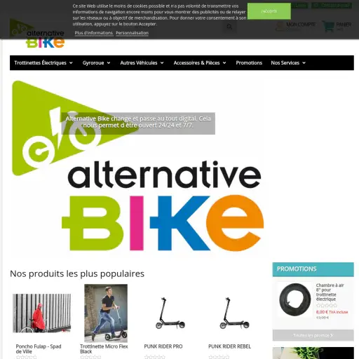 Alternative Bike