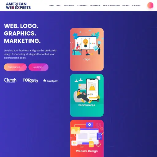 American Web Experts
