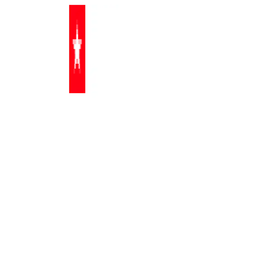 American writing services