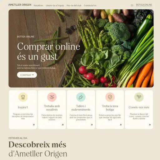 ametllerorigen.com