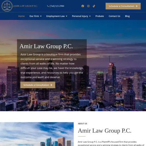 Amir Law Group P.C.