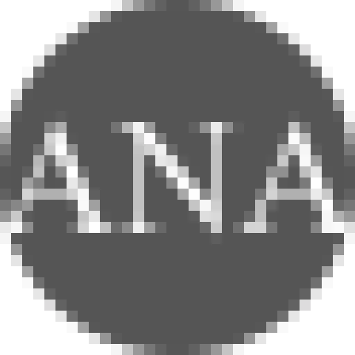 Ana Silver Co