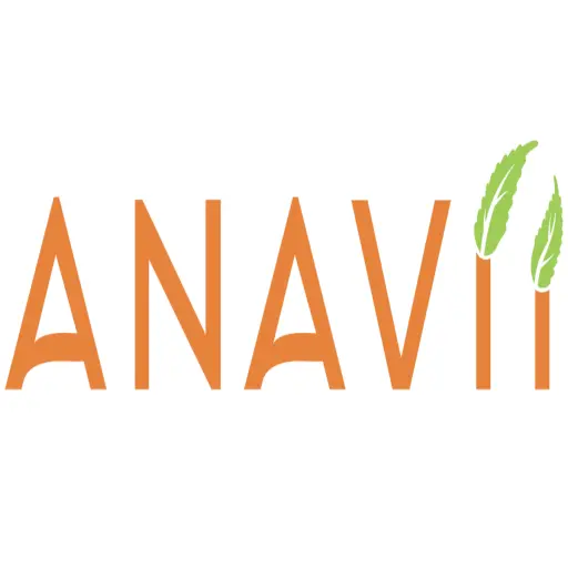 anaviimarket.com