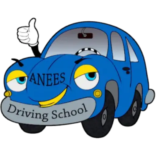 Anees Driving School