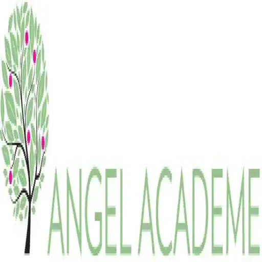 angelacademe.com