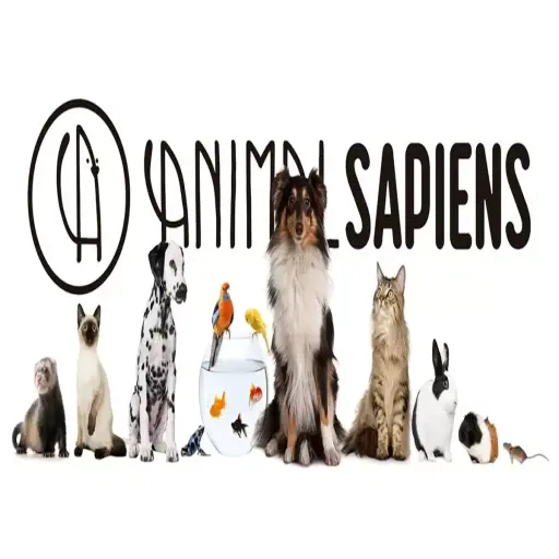 Animalsapiens