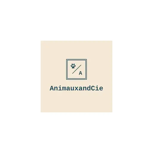 Animaux and cie - le chat