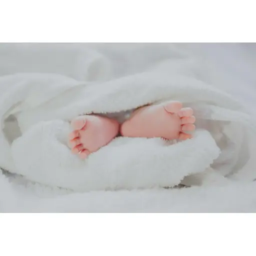A Path To Pregnancy