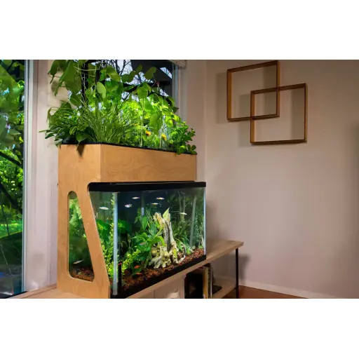 aquasprouts.com
