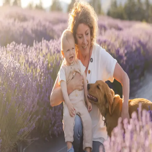 Aromatics International
