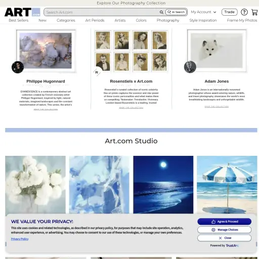 Art.com