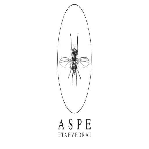 Aspettaevedrai Shop