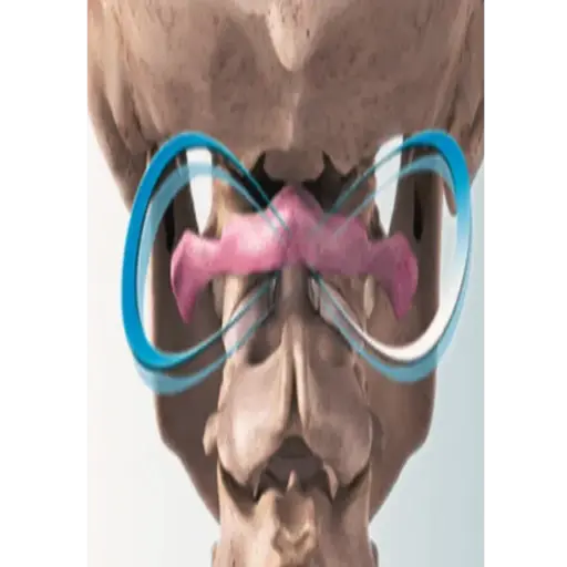 Atlashealer