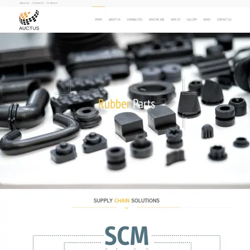 Auctus Solutions Inc.