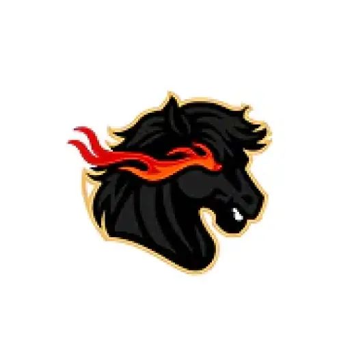 Aurosat Entertainment Media Limited
