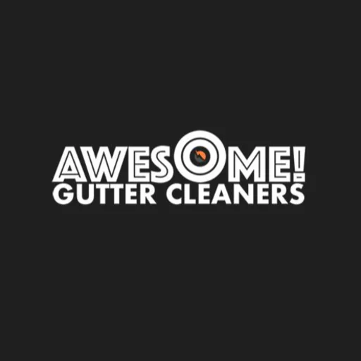 Awesome Gutter Cleaners