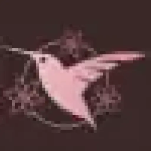 Ayahuascaandnoyaraohealingretreats