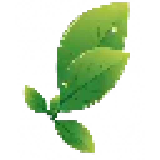 Ayurvedaproducts