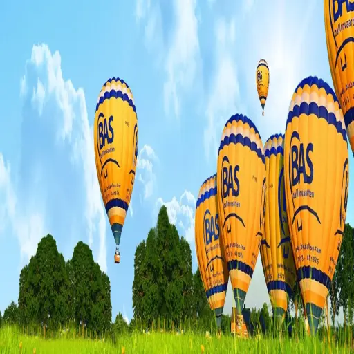Ballonvaren