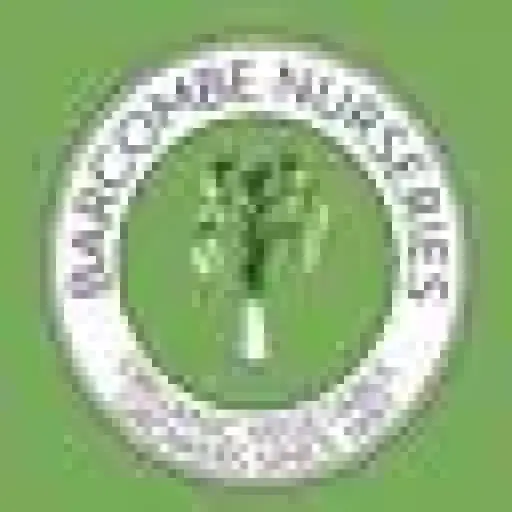 Barcombe Nurseries