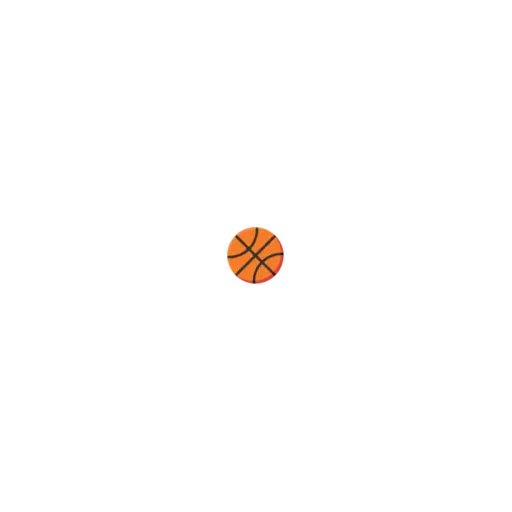BasketballGoalStore