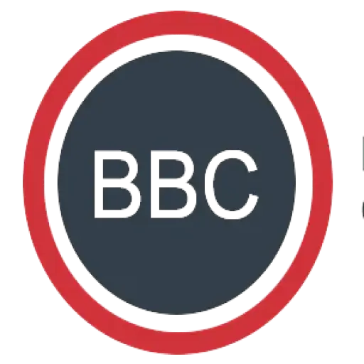 bassconsultancy.com
