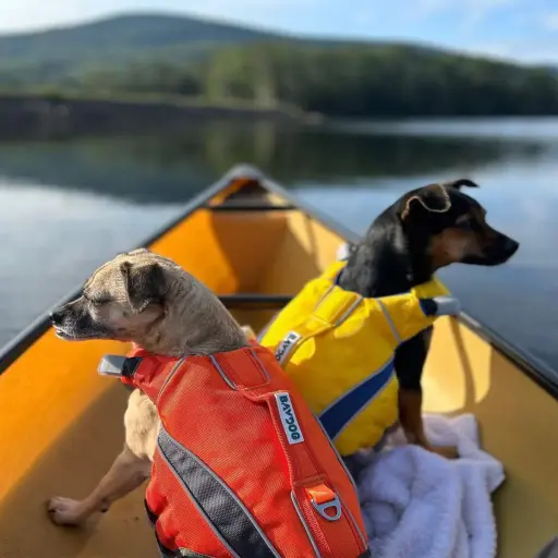 Bay Dog Online - The Hog Hunting Ezine