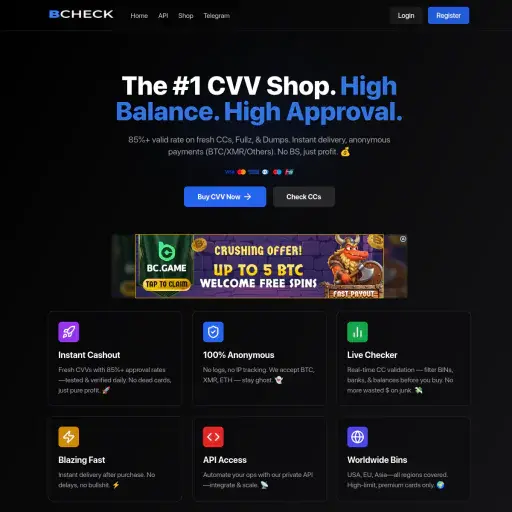 bcheck.tech