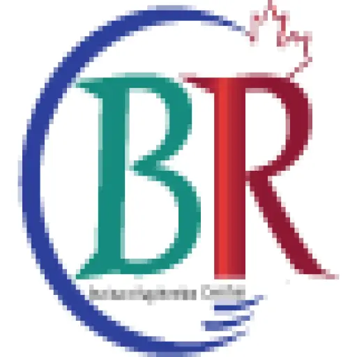 BC Online Business Registry
